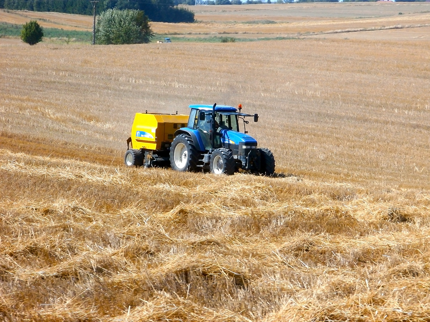 Traktor b. d. Ernte