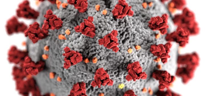 Coronavirus COVID-19