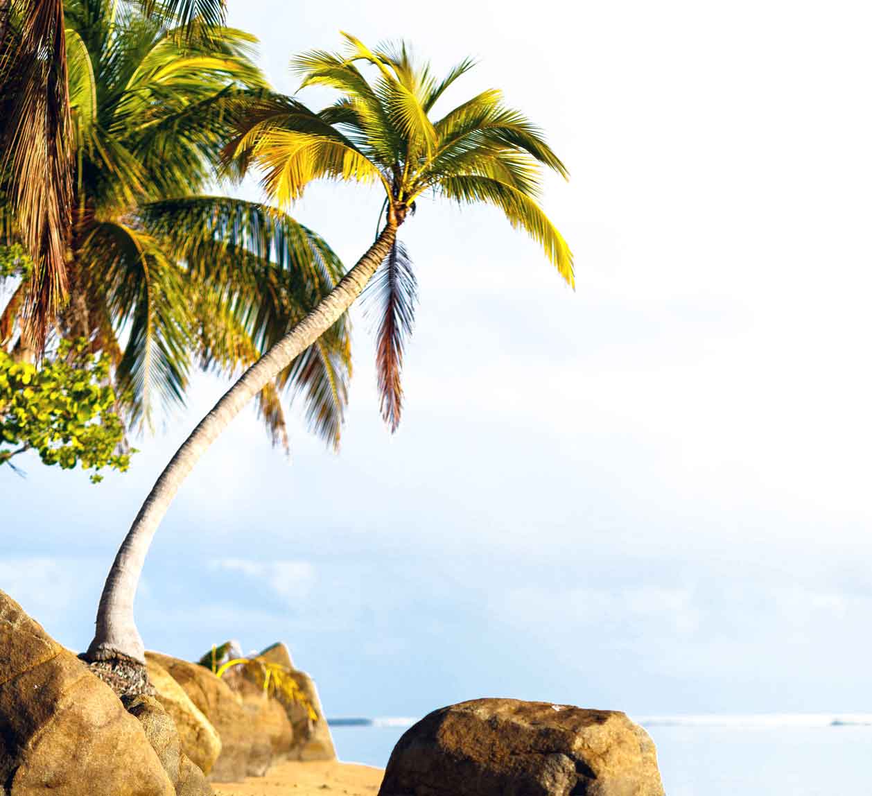 Insel der Macht